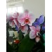 Орхидея розовая каскад